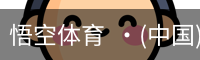 悟空体育  ·(中国)官方网站